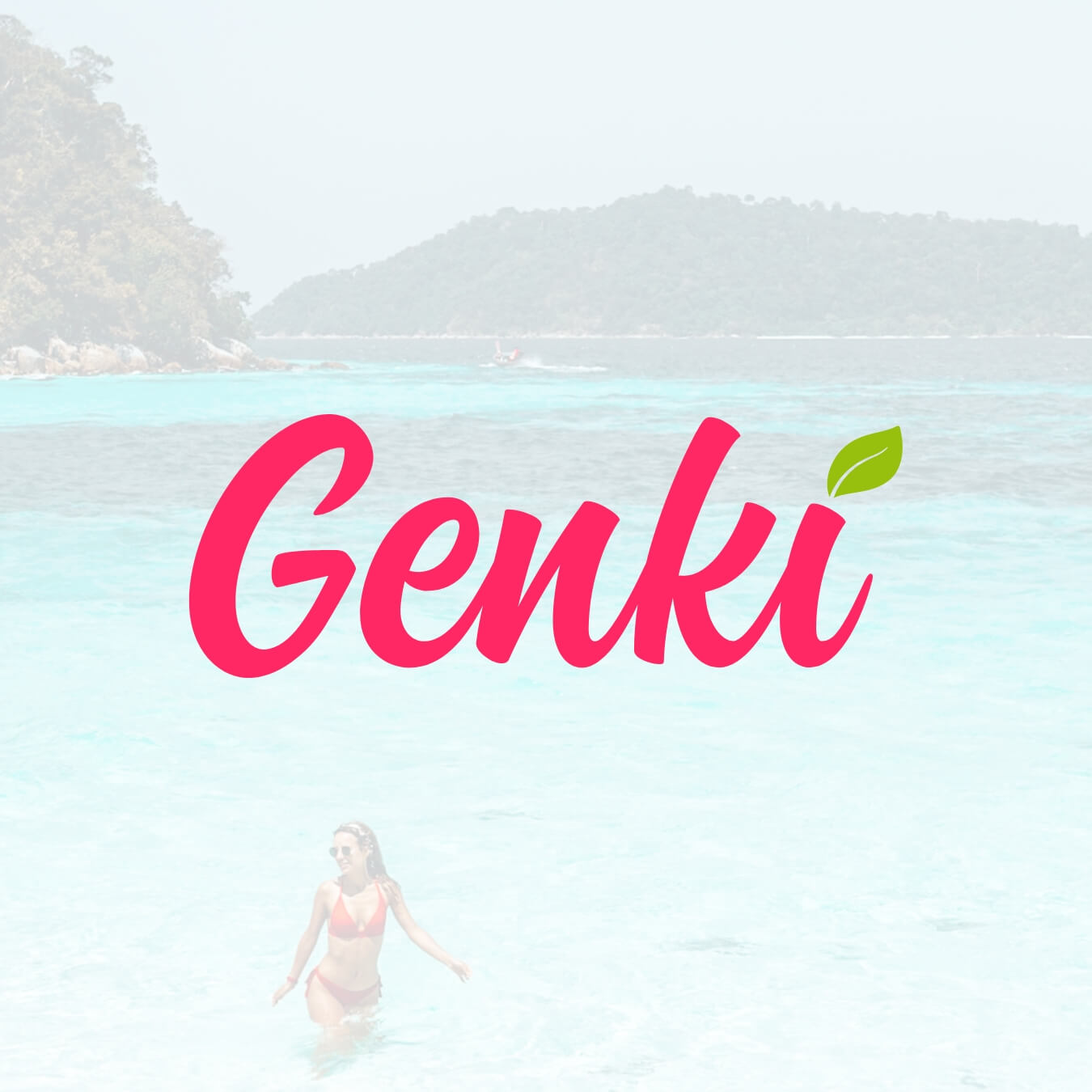 Genki travel insurance for digital nomads with digital nomads daily