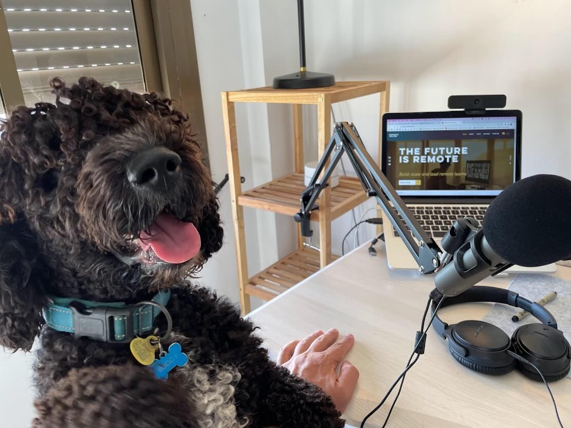 Image of dog The Digital Nomads Daily Podcast Podcast Episode 66 Finding Your Dream Remote Job With Ikigai and LinkedIn with Kenneth
